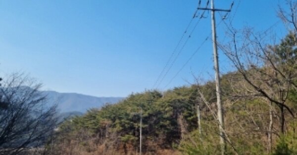 경상북도 경주시 외동읍 녹동리 OOOOOO 임야 경매 물건 이미지