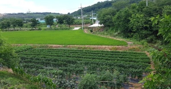 경상북도 의성군 비안면 서부리 OOO 전 경매 물건 이미지
