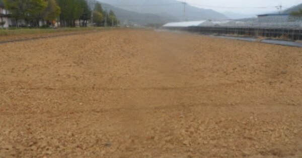 강원도 정선군 북평면 남평리 OOOOOO 답 경매 물건 이미지