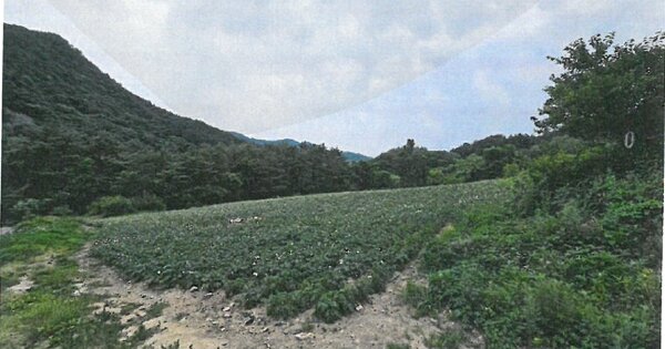 강원도 평창군 용평면 재산리 OOOO 전 경매 물건 이미지