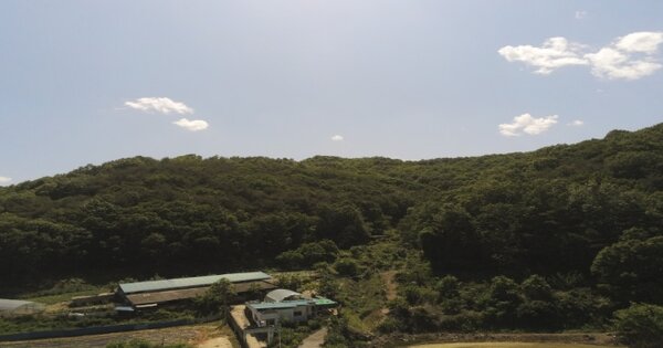 경상북도 구미시 장천면 오로리 OOOO 임야 경매 물건 이미지