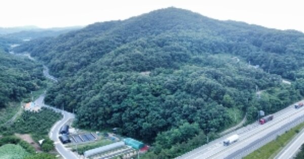 경상북도 김천시 남면 월명리 OOO 임야 경매 물건 이미지