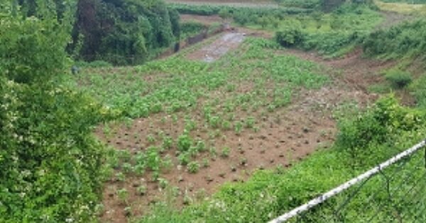 충청남도 보령시 오천면 원산도리 OOO 전 경매 물건 이미지