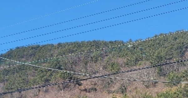 경상남도 통영시 산양읍 풍화리 OOOO 임야 경매 물건 이미지