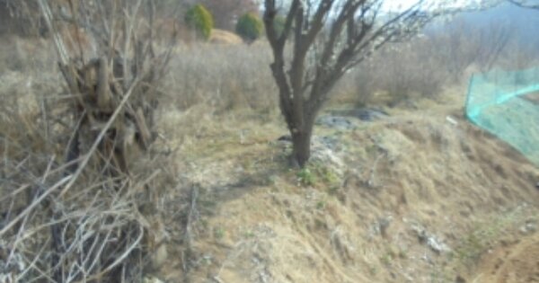 충청남도 논산시 연무읍 안심리 OOOOO 전 경매 물건 이미지