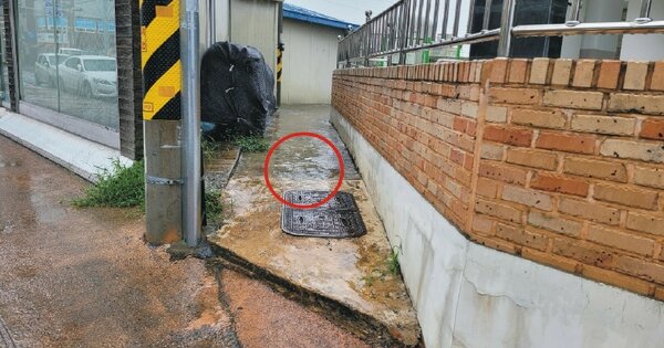 충청남도 논산시 반월동 OOOOO O OOO 대지 경매 물건 이미지