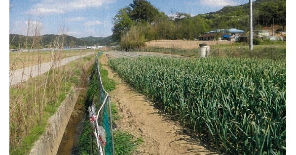 충청남도 부여군 부여읍 석목리 OOOOO 답 경매 물건 이미지