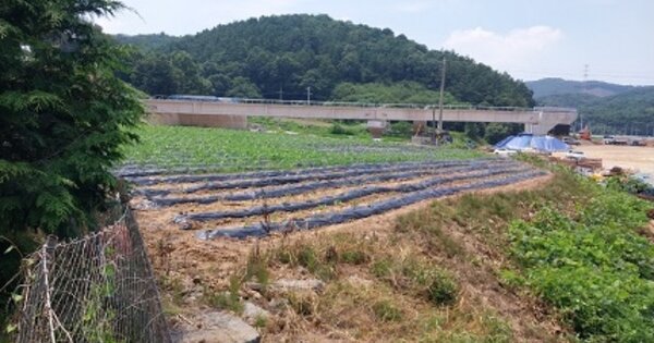 충청남도 청양군 청양읍 장승리 OOOOO 답 경매 물건 이미지