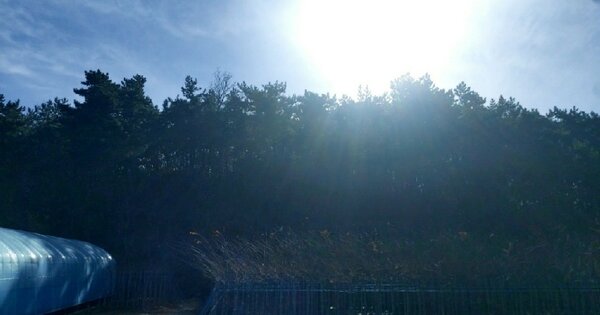 전라북도 군산시 신관동 OOO 임야 경매 물건 이미지