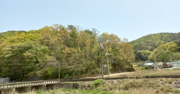 경상남도 거제시 연초면 다공리 OO 임야 경매 물건 이미지