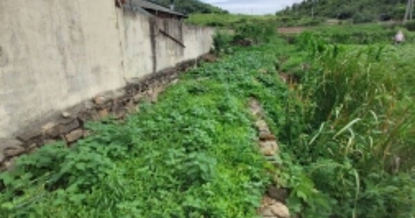 경상남도 고성군 거류면 가려리 OOOOO O OOO 답 경매 물건 이미지