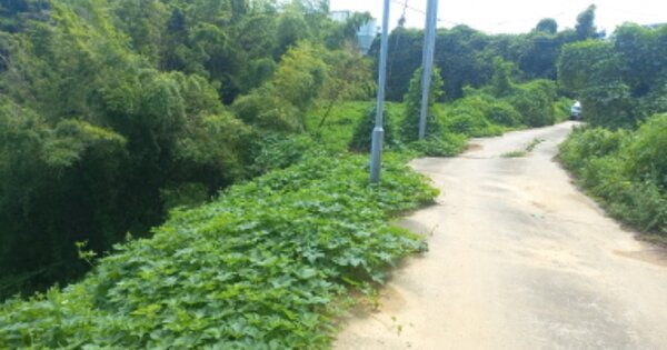 경상남도 거제시 장목면 유호리 OOOOO 전 경매 물건 이미지