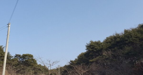 경기도 여주시 북내면 운촌리 OO O OOO 임야 경매 물건 이미지