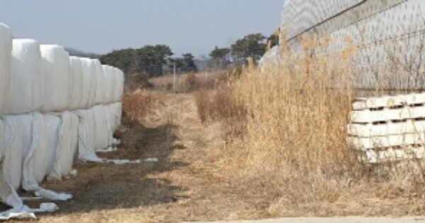 전라북도 남원시 보절면 황벌리 OOOO 답 경매 물건 이미지
