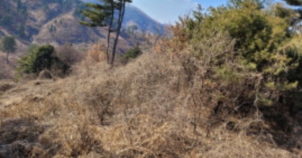 경기도 양평군 서종면 정배리 OOOOOO 임야 경매 물건 이미지