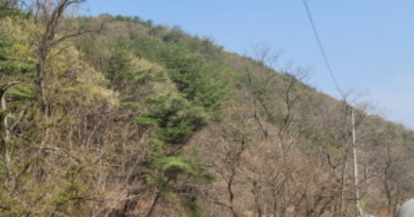 경상북도 포항시 남구 오천읍 갈평리 OOOOOO 임야 경매 물건 이미지