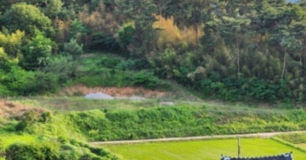 전라북도 고창군 흥덕면 교운리 OO O OOO 전 경매 물건 이미지
