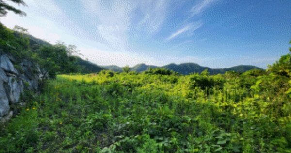 전라북도 임실군 운암면 운정리 OOOOOOO 전 경매 물건 이미지