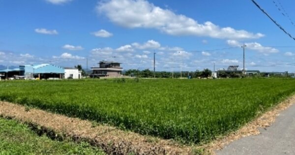 경상남도 사천시 용현면 주문리 OOO 답 경매 물건 이미지