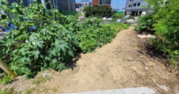 대구광역시 달성군 논공읍 금포리 OOOOOOO 대지 경매 물건 이미지