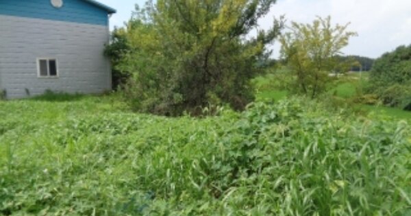 전라북도 김제시 연정동 OOOOO O OOO 답 경매 물건 이미지