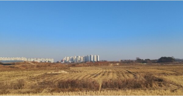 경기도 평택시 현덕면 화양리 OOO 답 경매 물건 이미지