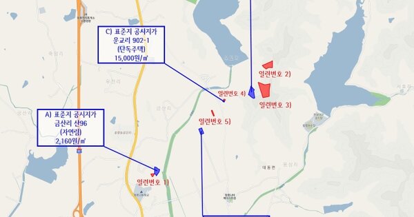전라남도 함평군 대동면 금산리 OOO 임야 경매 물건 이미지