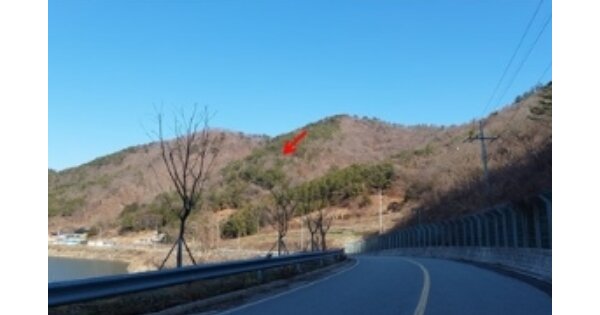 전라남도 함평군 대동면 운교리 OOO 임야 경매 물건 이미지