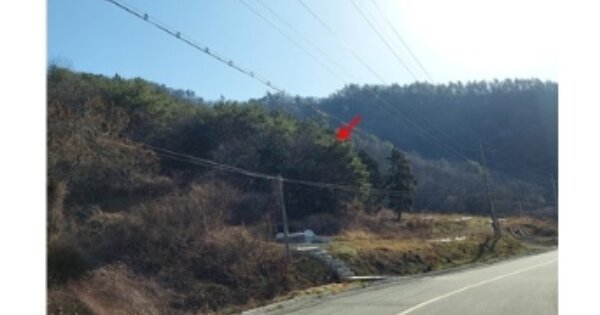 전라남도 함평군 대동면 운교리 OOO 임야 경매 물건 이미지