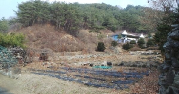 강원 홍천군 화촌면 장평리 OOO O OOO 근린시설 경매 물건 이미지