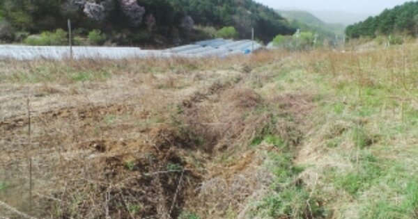 강원도 춘천시 남산면 강촌리 OO 전 경매 물건 이미지