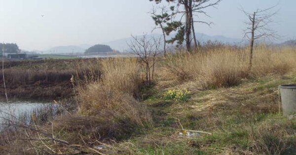 전라남도 해남군 북일면 방산리 OOO O OOO 전 경매 물건 이미지