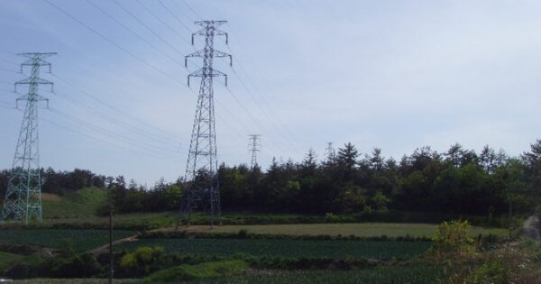 전라남도 해남군 문내면 용암리 OOOOOO O OOO 묘지 경매 물건 이미지