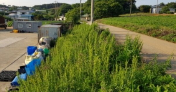 충청남도 당진시 신평면 거산리 OOOOO O OOO 임야 경매 물건 이미지