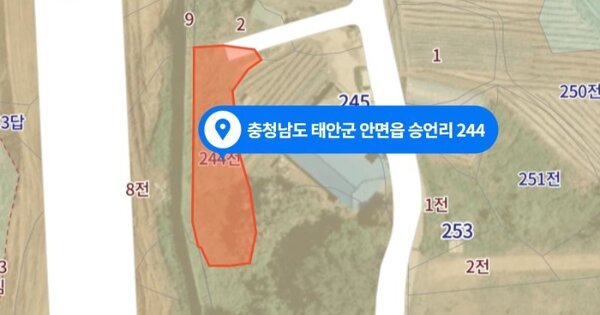 충청남도 태안군 안면읍 승언리 OOO 전 경매 물건 이미지