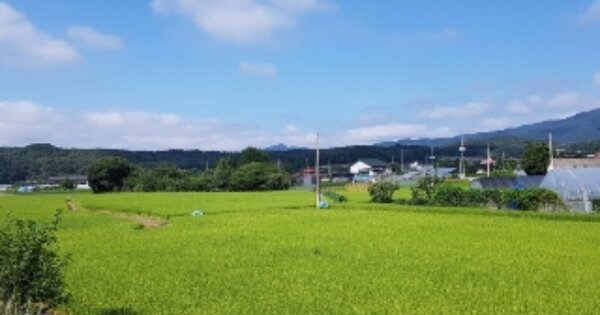 강원특별자치도 춘천시 신북읍 발산리 OOOOO 답 경매 물건 이미지