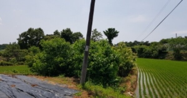 충청남도 당진시 송악읍 복운리 OOOOO 임야 경매 물건 이미지