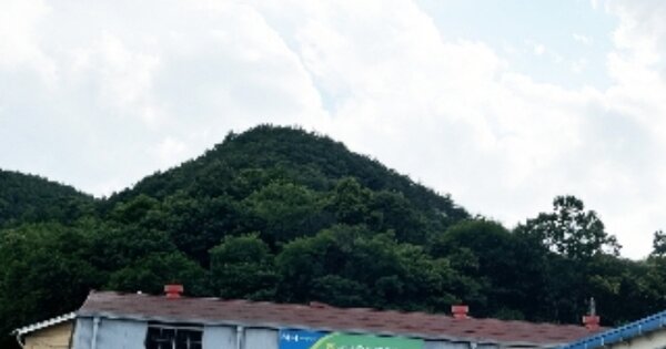 충청북도 보은군 회인면 중앙리 OO 임야 경매 물건 이미지