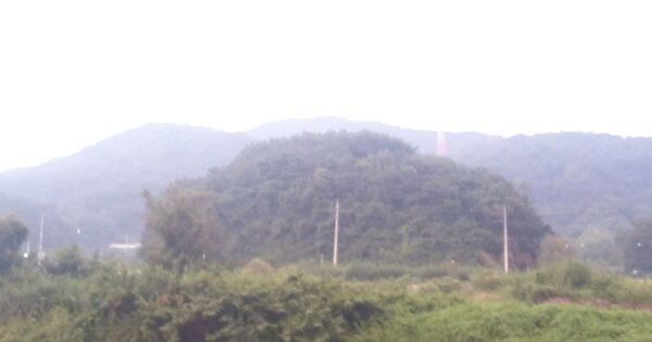 전라남도 광양시 광양읍 죽림리 OOOO 답 경매 물건 이미지