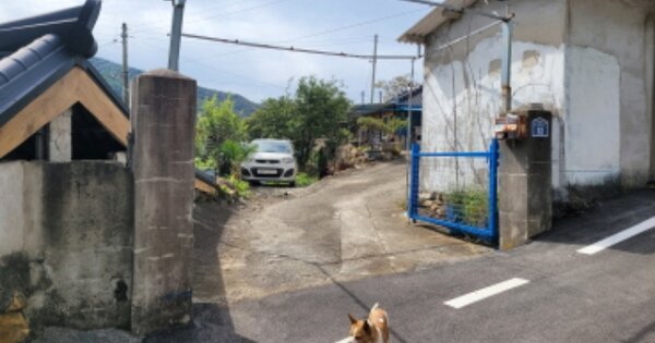 전라남도 고흥군 포두면 봉림리 OOOO O OOO 대지 경매 물건 이미지