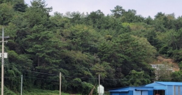 전라남도 고흥군 도덕면 오마리 OOOO O OOO 임야 경매 물건 이미지