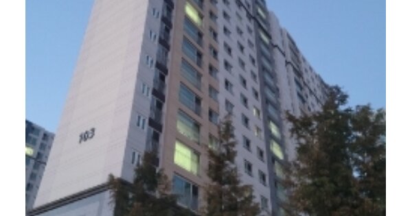 충북 보은군 보은읍 장신리 183, 103동 OOOOOO OOOOOOOO O OOO 아파트 경매 물건 이미지