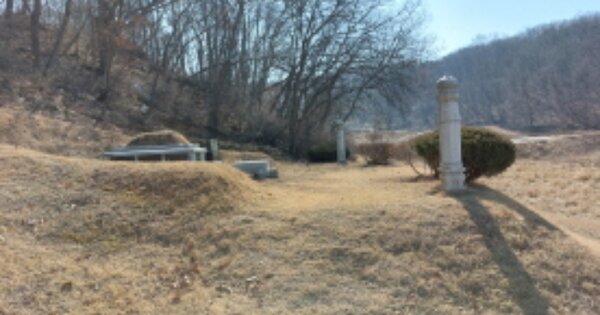 경기도 파주시 파평면 장파리 OO O OOO 전 경매 물건 이미지