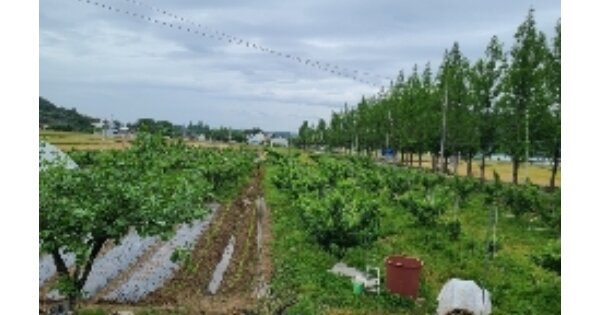 광주광역시 광산구 남산동 OOOOO 답 경매 물건 이미지
