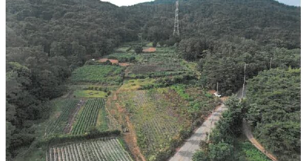 전라남도 장성군 남면 덕성리 OO 임야 경매 물건 이미지