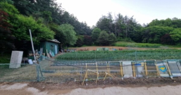 경기도 남양주시 진접읍 부평리 OOOOO O OOO 전 경매 물건 이미지