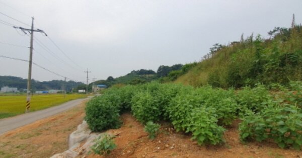 경기도 화성시 마도면 송정리 OOO 전 경매 물건 이미지