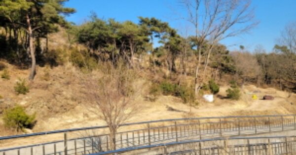 울산광역시 울주군 언양읍 직동리 OOOO 임야 경매 물건 이미지