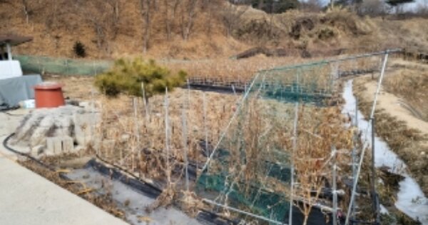 경상북도 영주시 안정면 용산리 OOOOO O OOO 단독주택 경매 물건 이미지