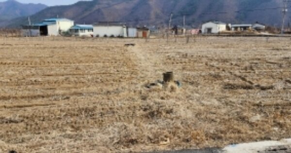 경상북도 안동시 길안면 천지리 OOOOO 전 경매 물건 이미지